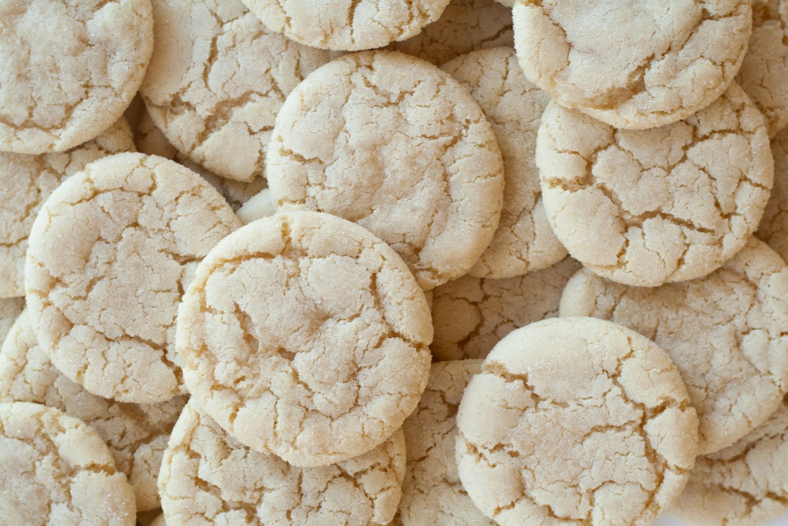 Plain sugar cookies with a lightly golden, sugar-dusted surface